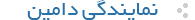 نمایندگی ثبت دامنه های بین المللی
